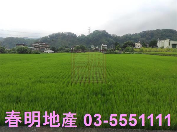 新竹芎林農地-3