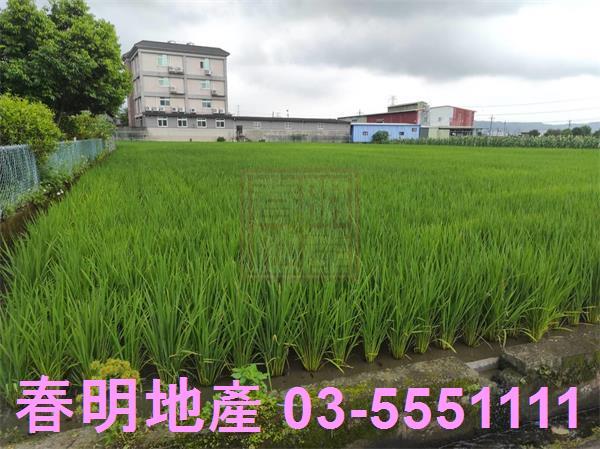 新竹芎林農地-5