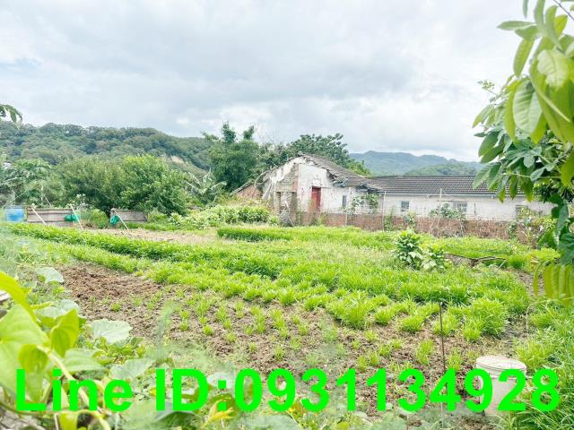 苗栗苑裡建地-1