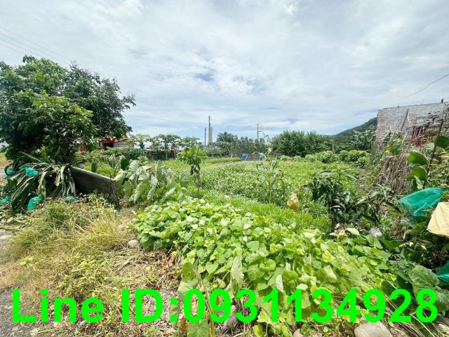 苗栗苑裡建地-2