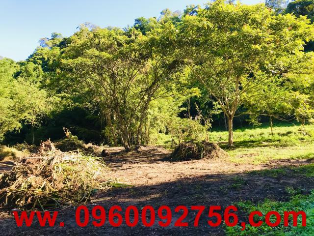 新竹北埔農地-10