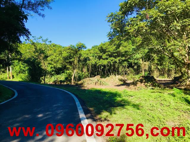 新竹北埔農地-11