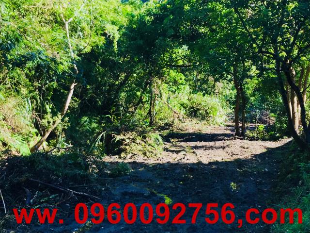 新竹北埔農地-2