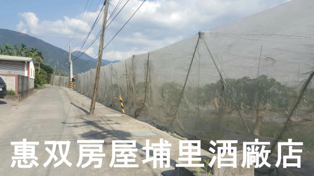 埔里農地-4