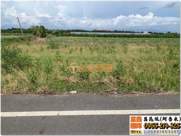 嘉義太保農地-2