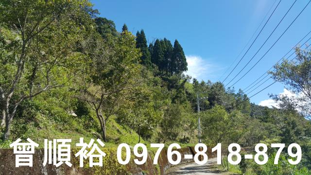 尖石農地-1