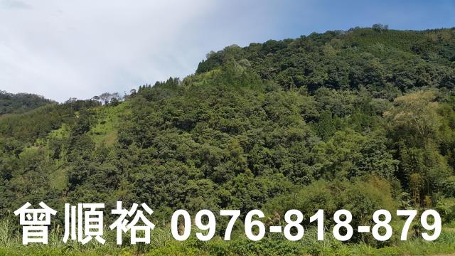 尖石農地-2