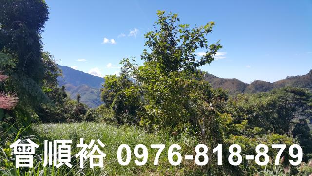 尖石農地-3