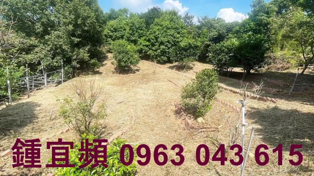 新竹農地-13