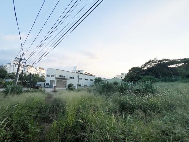 楊梅工業地-6