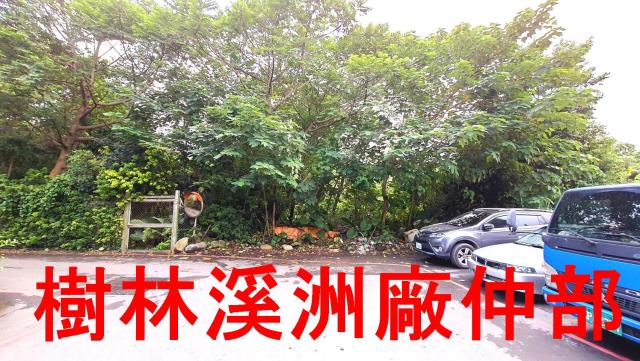 新北樹林農地-1