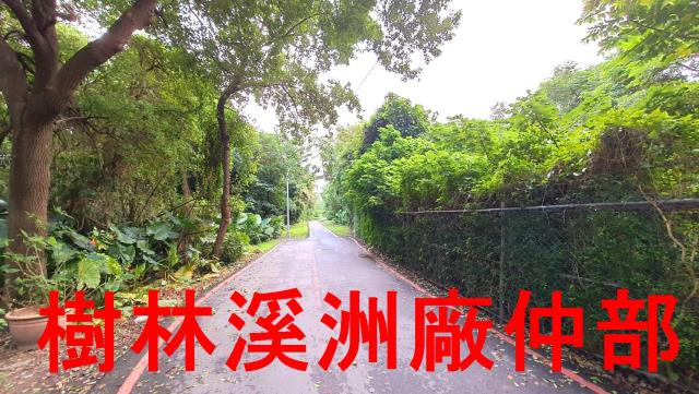 新北樹林農地-2