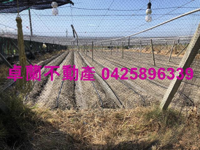 卓蘭農地-1