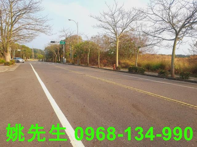 嘉義大林工業地-1