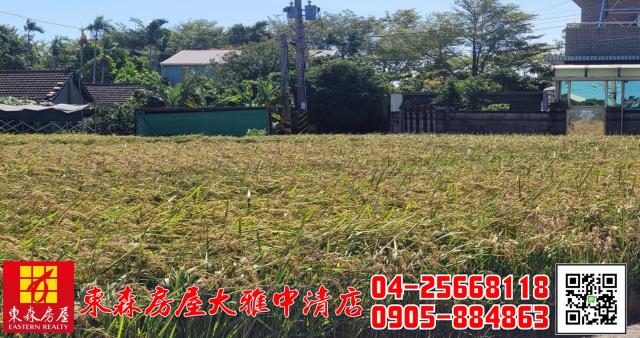 台中神岡農地-3