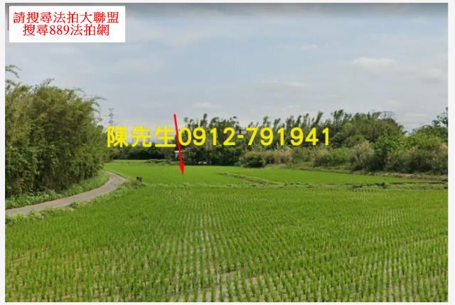 楊梅拍賣農地-1