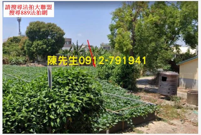嘉義鹿草法拍建地-1