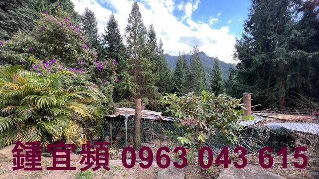 新竹北埔農地-10