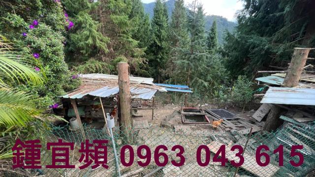 新竹北埔農地-11