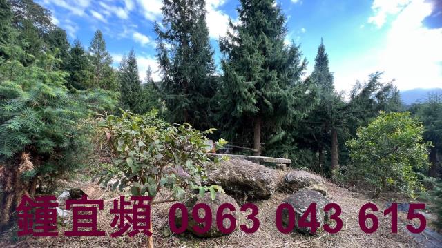 新竹北埔農地-12