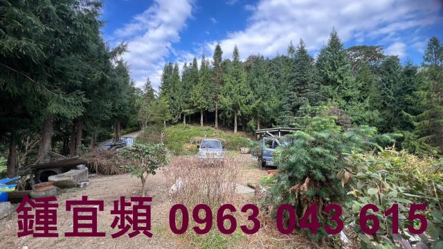 新竹北埔農地-13