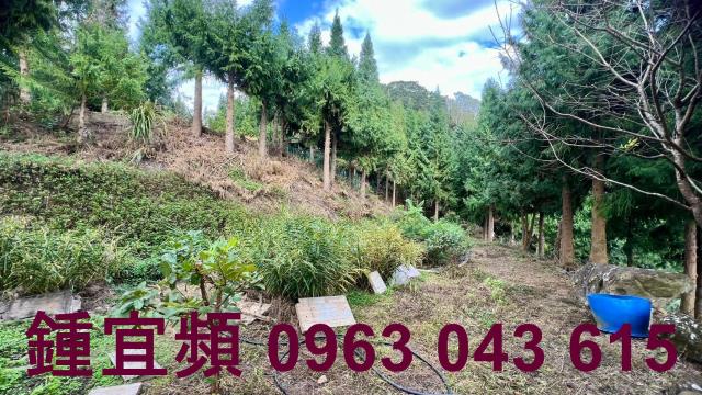 新竹北埔農地-14