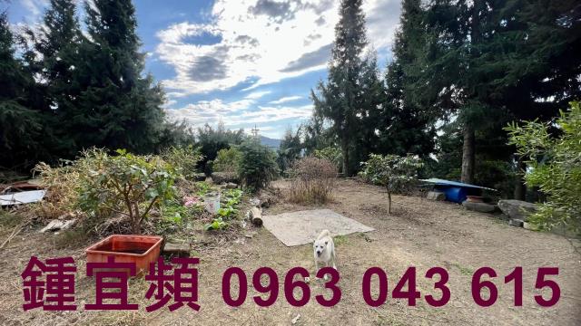 新竹北埔農地-3