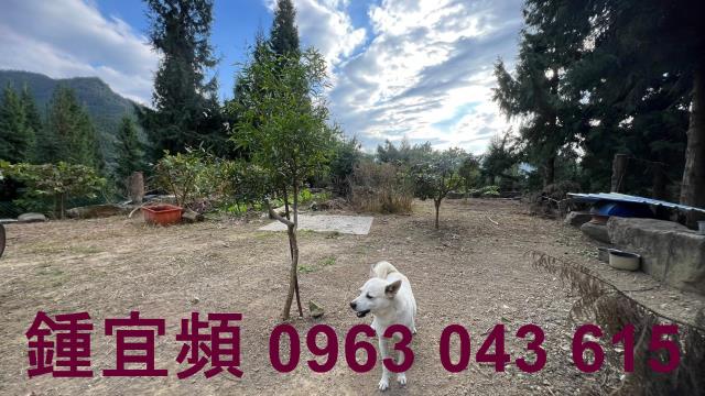 新竹北埔農地-4