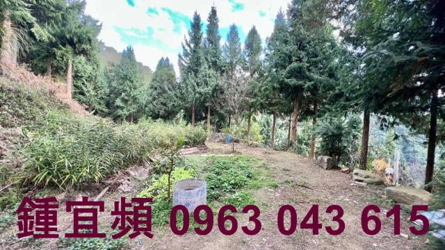 新竹北埔農地-7