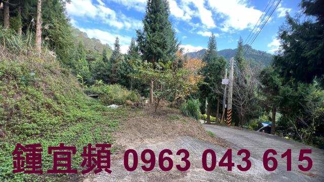 新竹北埔農地-8