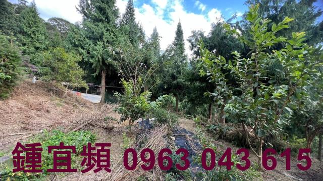 新竹北埔農地-9