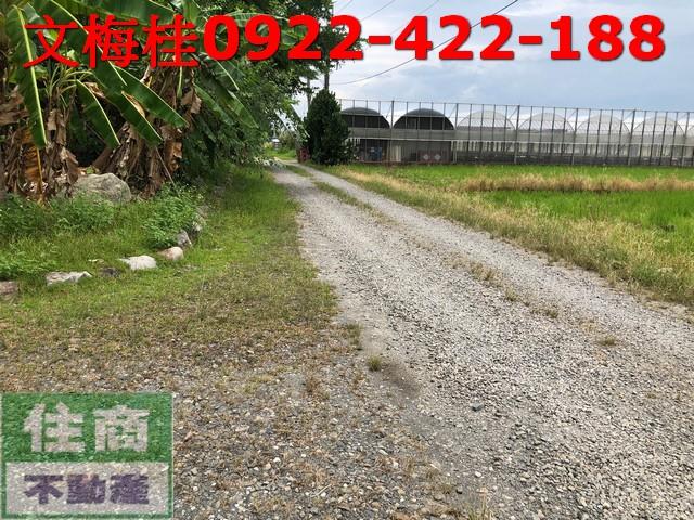 宜蘭宜蘭市農地-2