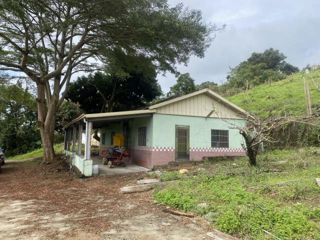 台中東勢農地-2