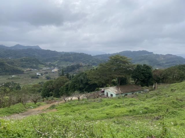 台中東勢農地-3