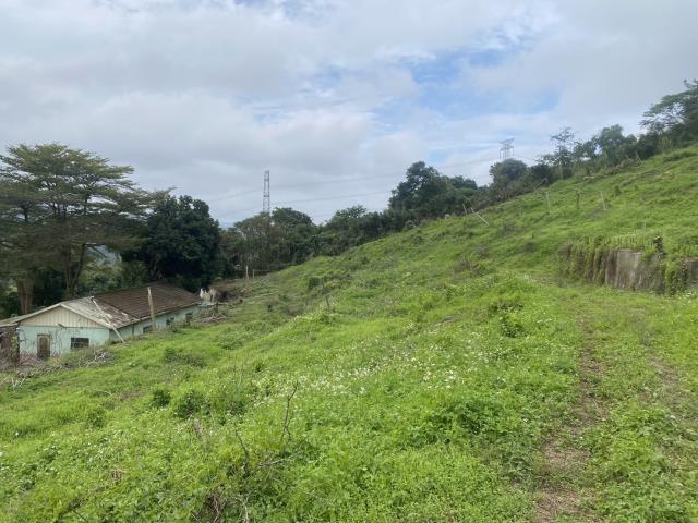 台中東勢農地-5