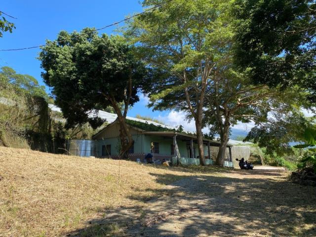 台中東勢農地-1