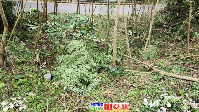 新竹橫山農地-10