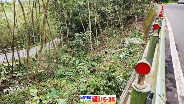 新竹橫山農地-11