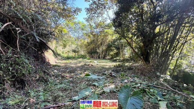 新竹橫山農地-1