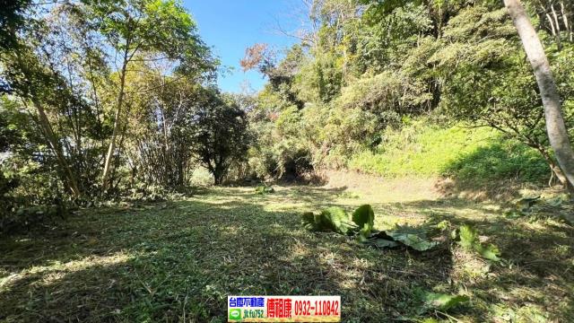 新竹橫山農地-2