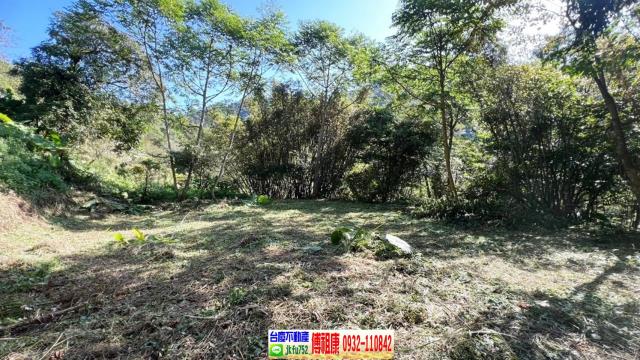 新竹橫山農地-4