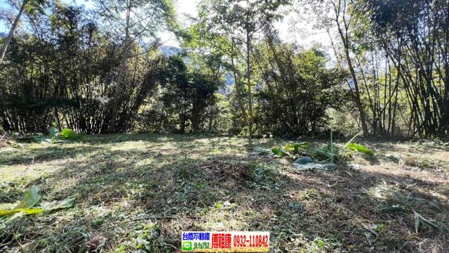 新竹橫山農地-5