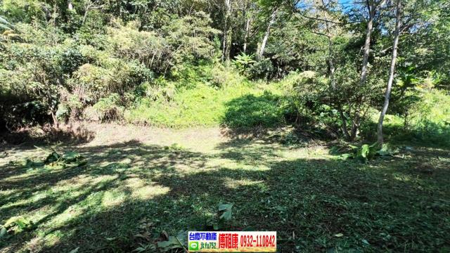 新竹橫山農地-6