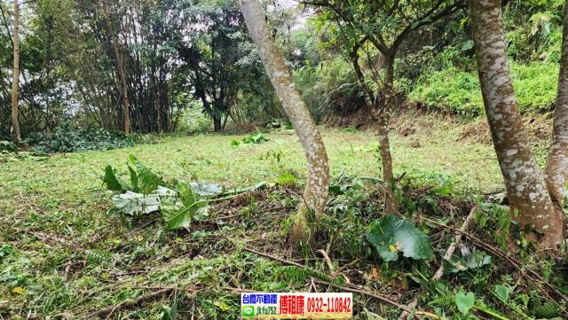 新竹橫山農地-7