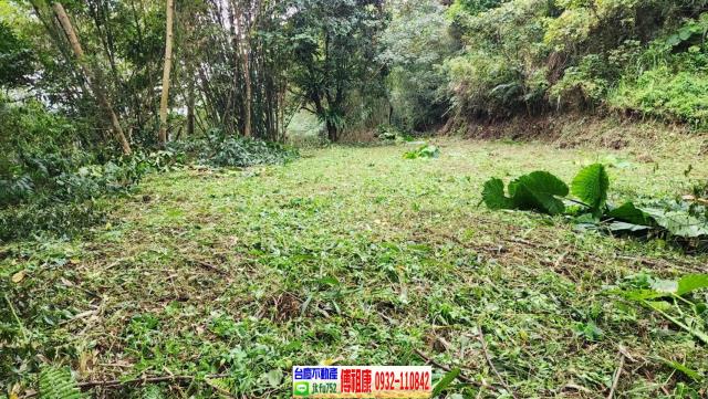 新竹橫山農地-8