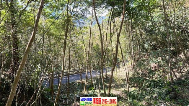 新竹橫山農地-9