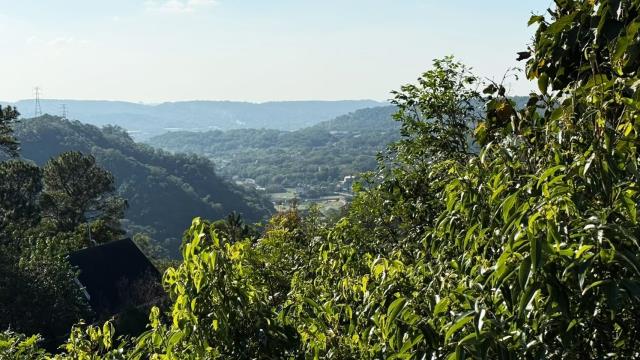 新竹關西農地-2