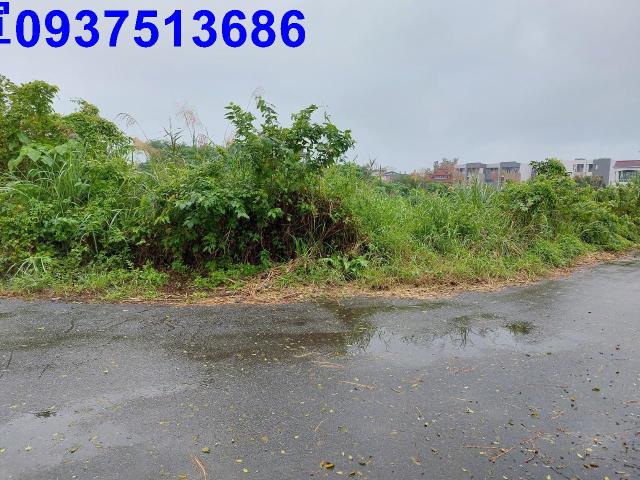 宜蘭礁溪農地-1