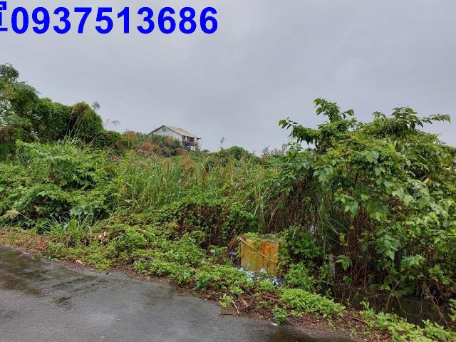 宜蘭礁溪農地-3