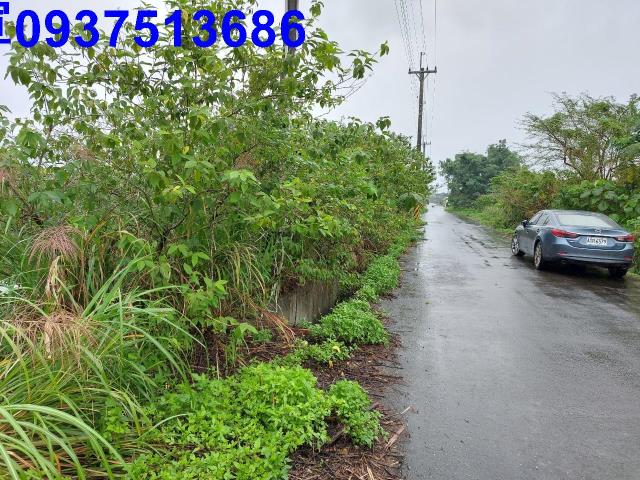 宜蘭礁溪農地-5